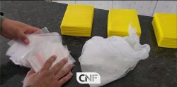 cocaina-avaliada-em-r$-150-mil-e-apreendida-em-caruaru