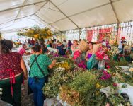 3a-edicao-da-feira-de-flores-e-realizada-em-bezerros