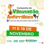 campanha-de-vacinacao-antirrabica-e-realizada-em-caruaru;-saiba-como-vacinar-os-pets