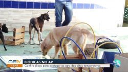 videos:-ab1-de-sabado,-20-de-janeiro