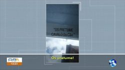 ‘os-pretumes,-cavalo-do-cao’;-apos-ser-presa,-mulher-suspeita-de-injuria-racial-foi-encaminhada-para-colonia-penal-feminina-de-buique