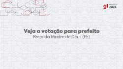 eleicoes-2024:-roberto-asfora,-do-pp,-e-eleito-prefeito-de-brejo-da-madre-de-deus-no-1o-turno