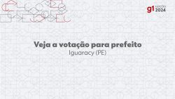 eleicoes-2024:-dr.-pedro-alves,-do-psdb,-e-eleito-prefeito-de-iguaracy-no-1o-turno