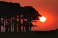 temperatura-deve-subir-e-chegar-a-34o-em-cidades-do-agreste-ate-quarta-feira;-veja-previsao-do-tempo