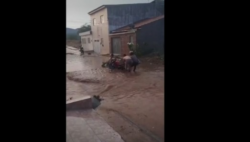 chuva-forte-derruba-arvores-e-alaga-bairros-de-serra-talhada;-video